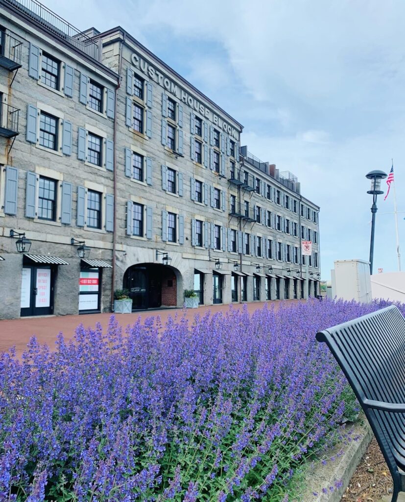 Photo of condo in Boston in the summer with beautiful purple flowers