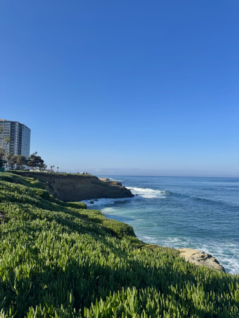 La Jolla Coast, blue waters and green coast