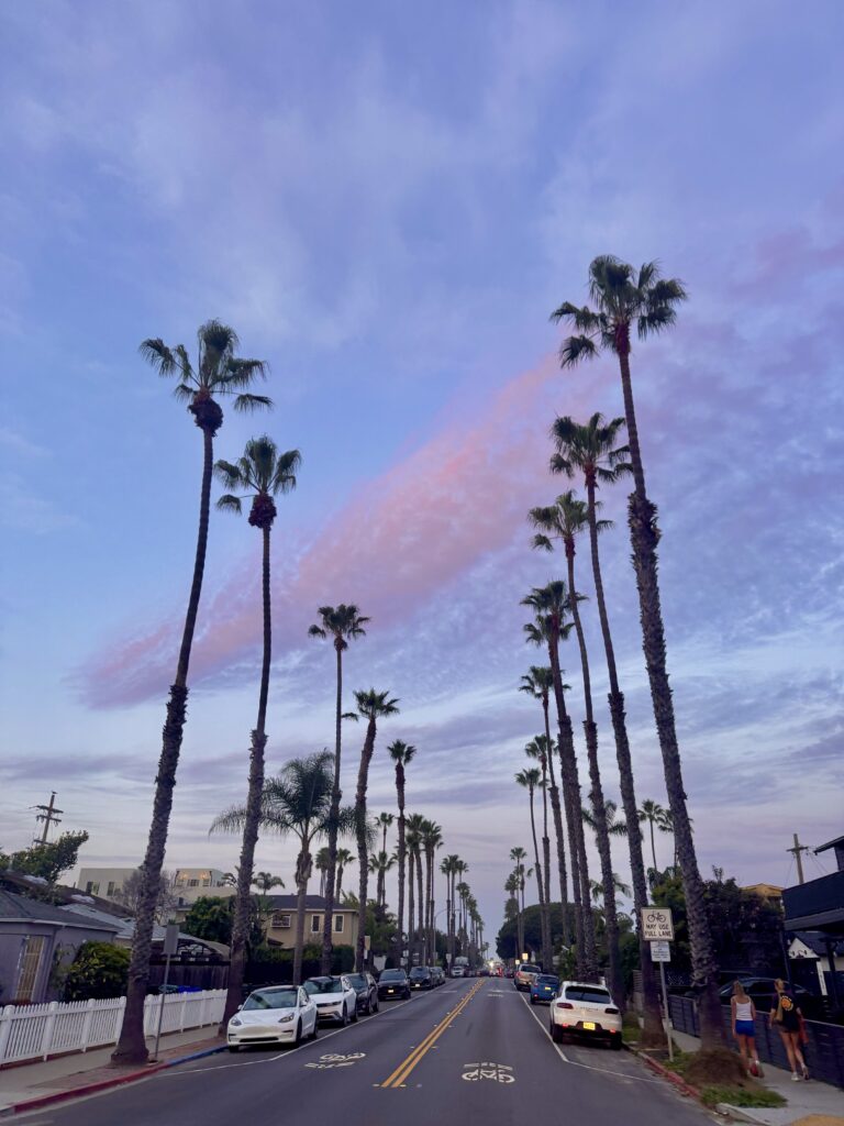 Ocean Beach sunset street with palm trees