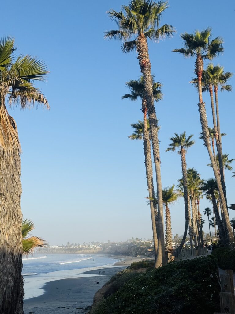 pacific beach with ocean and palm trees