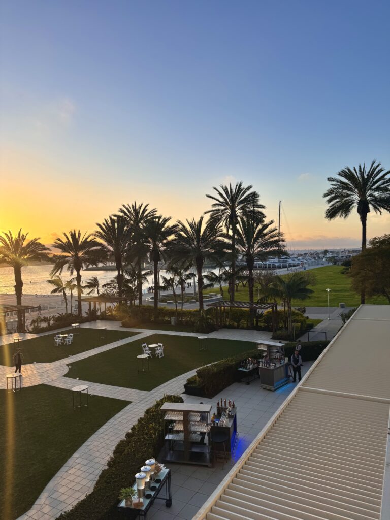 Sunset bay view with palm trees and nice green space