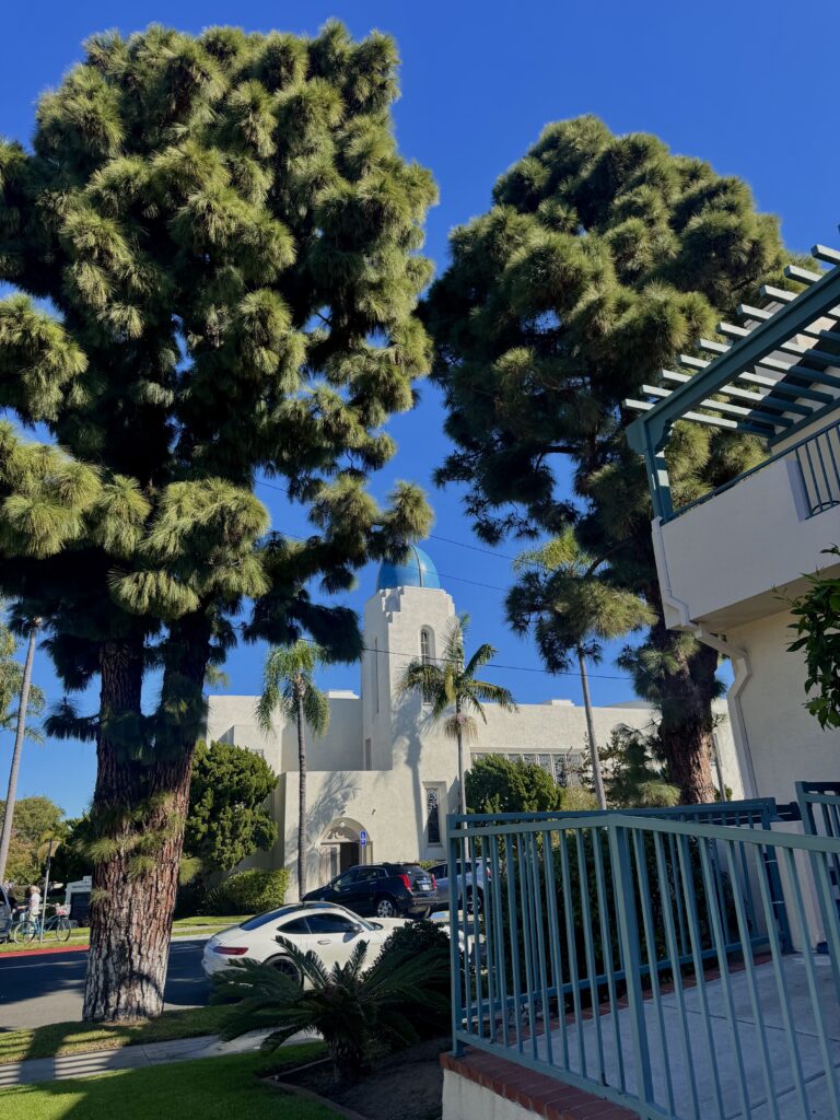 Sacred Heart Catholic Church Coronado Island. White church with greenery.