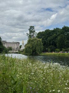 Buckingham Palace with St. James Park Greenery.