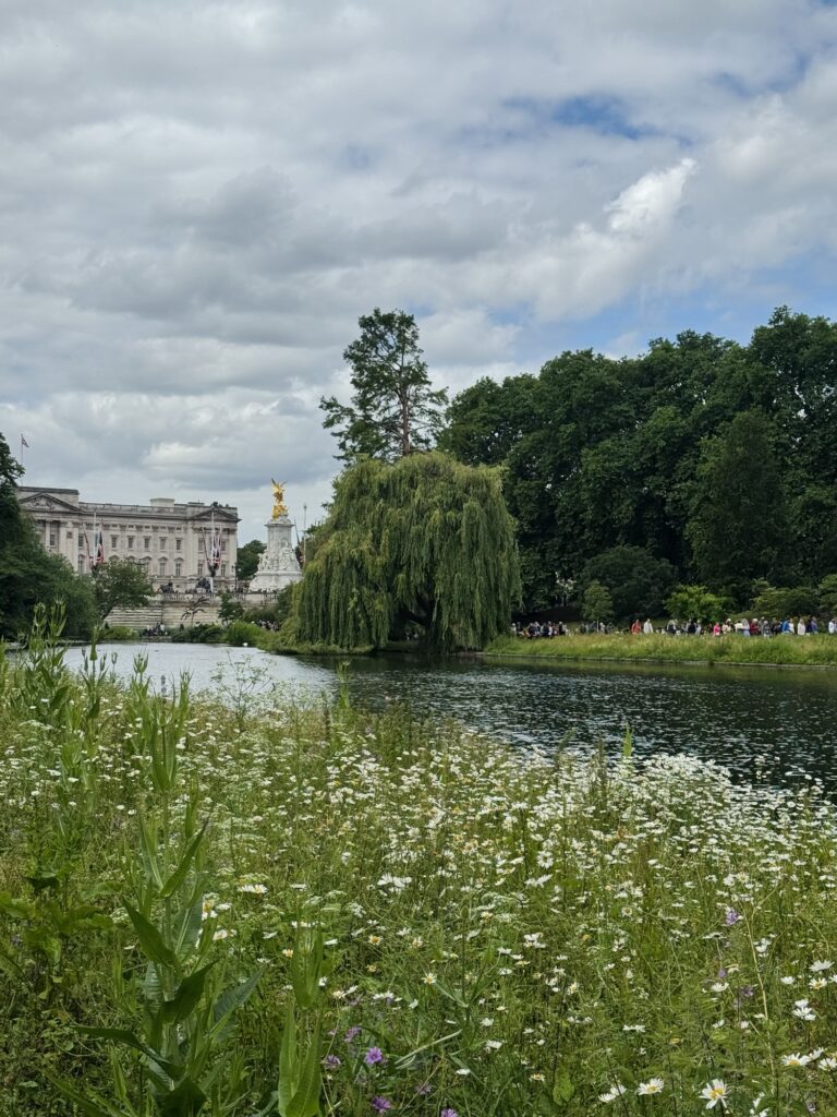 Buckingham Palace with St. James Park Greenery.