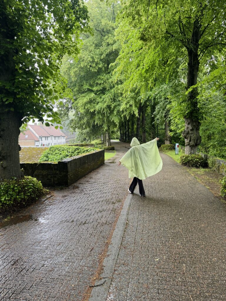 Rain in Minnewaterpark path