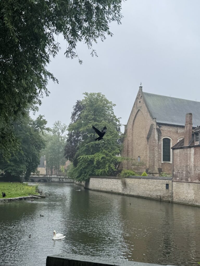 Minnewaterpark pond in Bruges