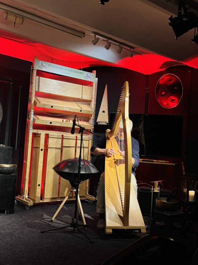 Person playing the harp