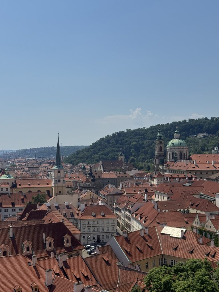 View from Prague Castle