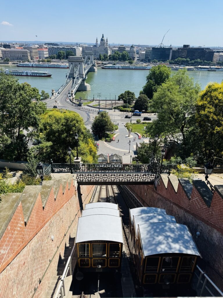 Rail cars over the Danube River
