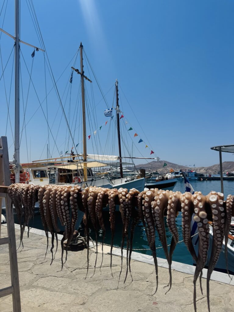 Octopi hanging on pier in Greece