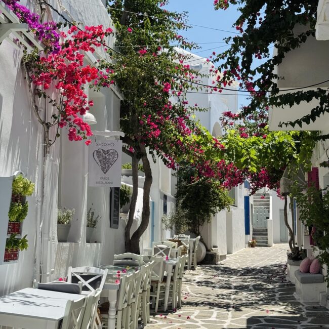 Naoussa village streets with florals