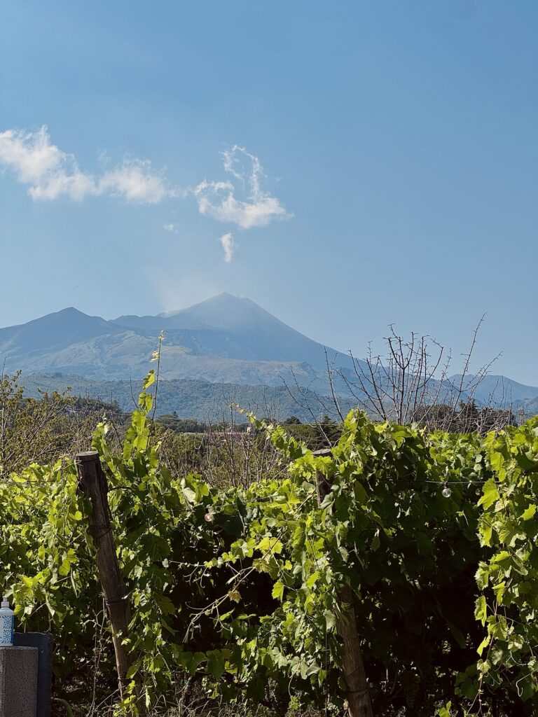 Mount Etna in Sicily